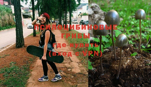 не бодяженный Алексин