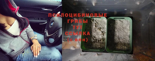 МДПВ Абинск