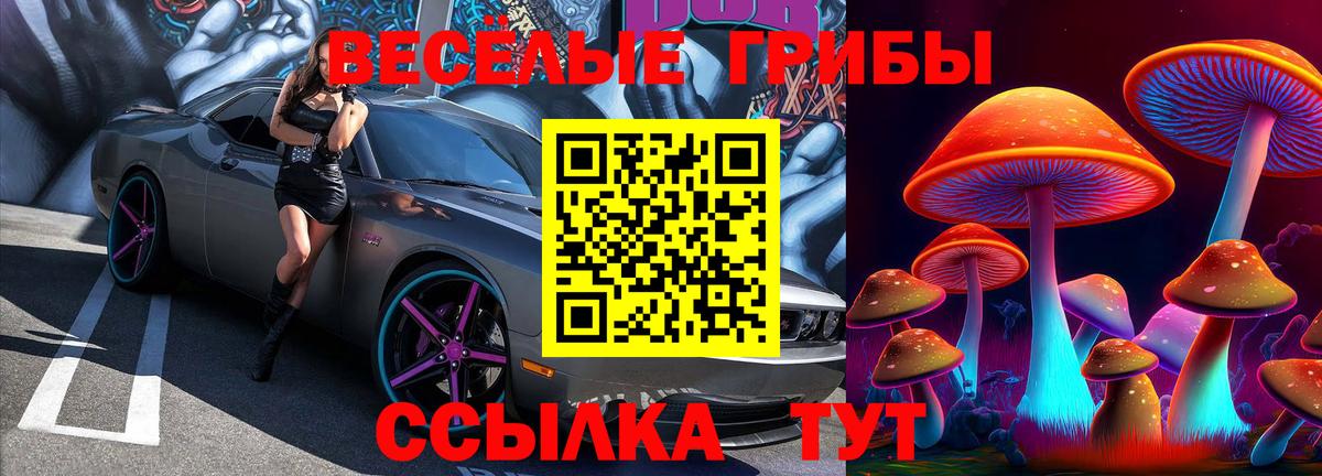 Красноуфимск  Галлюциногенные грибы прущие грибы  Вход с VPN 