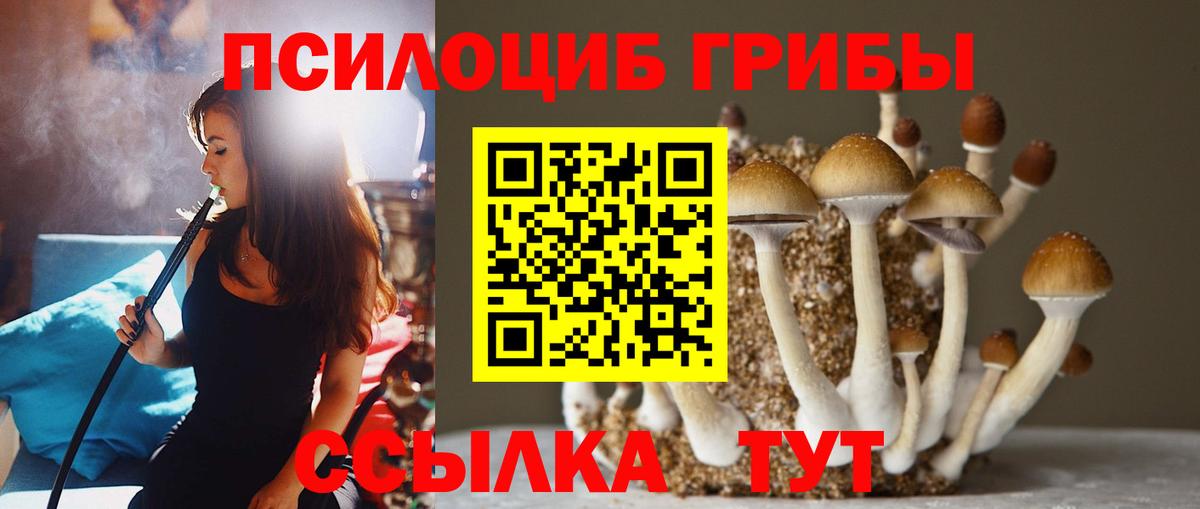 Псилоцибиновые грибы GOLDEN TEACHER Красноуфимск